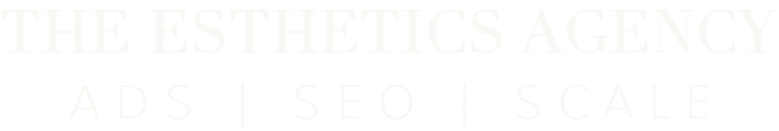 The Esthetics Agency logo — Ads, SEO, Scale
